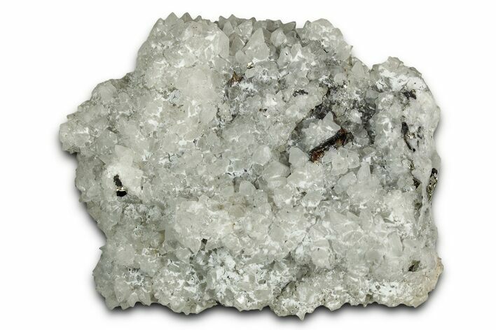 Scalenohedral Calcite Crystal Cluster with Pyrite - Mexico #330569